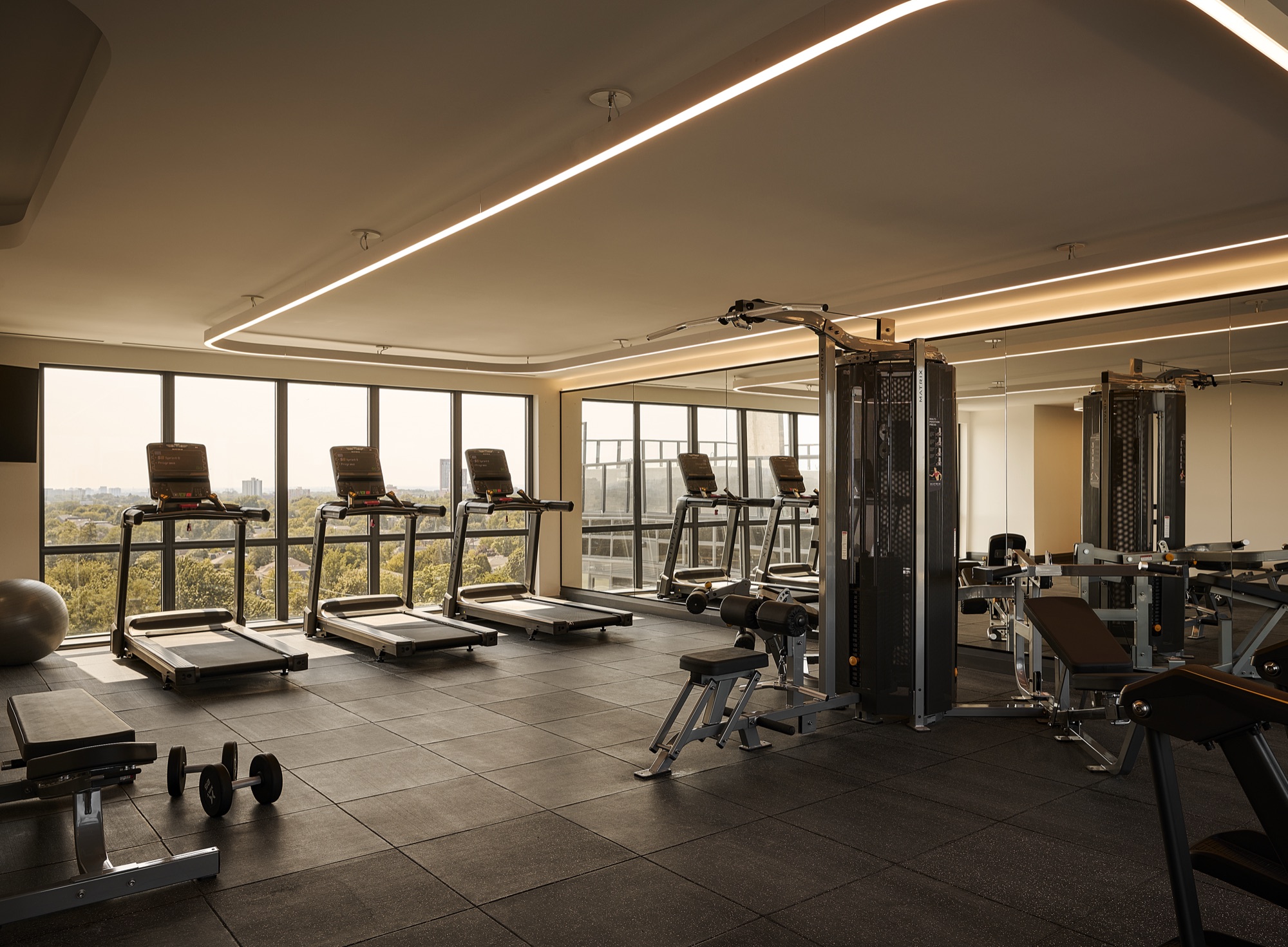 The fitness room at Glenhill Hotel, overlooking the surrounding treetops